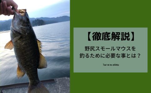 冬のバス釣りは無謀じゃない 狙うポイントやバスの状態を知り釣果を上げよう つりのある生活