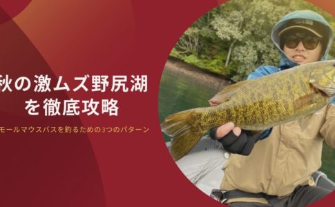 冬のバス釣りは無謀じゃない 狙うポイントやバスの状態を知り釣果を上げよう つりのある生活