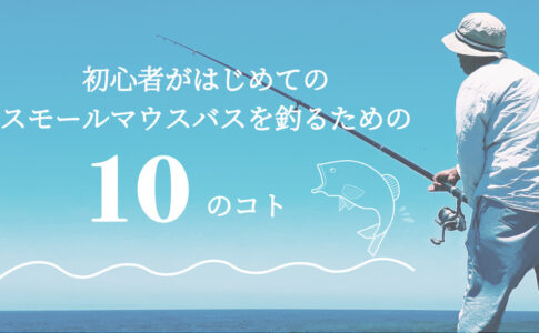 冬のバス釣りは無謀じゃない 狙うポイントやバスの状態を知り釣果を上げよう つりのある生活